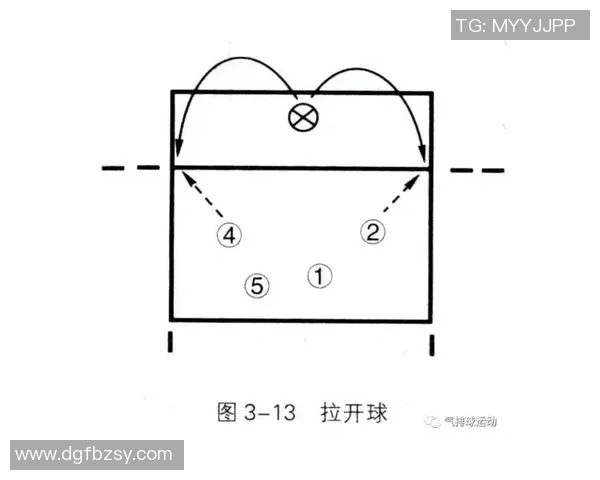 北京排球队进攻策略全解析深度剖析排球战术与团队配合